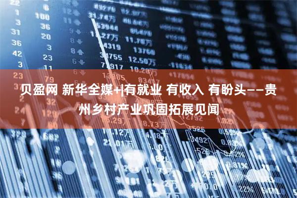 贝盈网 新华全媒+|有就业 有收入 有盼头——贵州乡村产业巩固拓展见闻