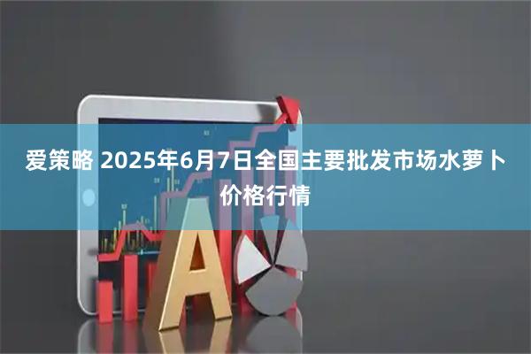 爱策略 2025年6月7日全国主要批发市场水萝卜价格行情
