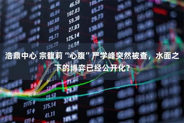 浩鼎中心 宗馥莉“心腹”严学峰突然被查，水面之下的博弈已经公开化？