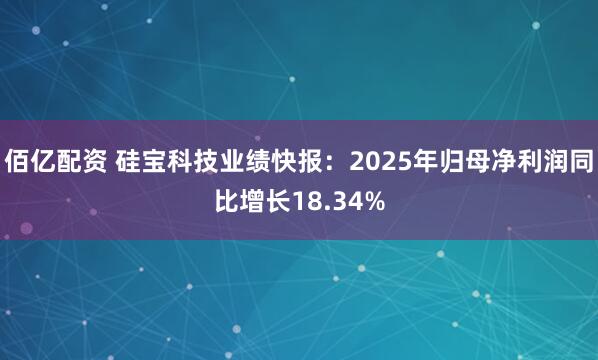 佰亿配资 硅宝科技业绩快报：2025年归母净利润同比增长18.34%